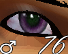 76 O6A