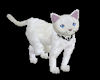 white cat animated