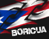 Puerto Rico Boricua