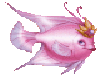 Pink Fish Animated