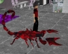 red n black Scorpion