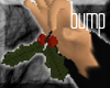 bump-Under the Mistletoe