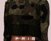 http://userimages05-akm.imvu.com/productdata/images_13d9aec9c8bcd6b0bbf22197a0d0084f.png