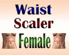 Waist Scaler Female
