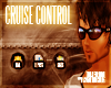 CruiseControl Sticker