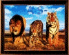 -AS-The perfect animal-