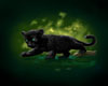 Scorpio Fur