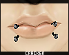 !�;|Dual-Bites.