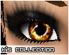 -K- Dream Brown Eyes