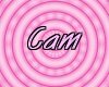 [CAM]plat-Dena