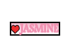 Jasmine's name tag