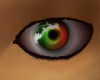 Santas sleigh eyes male