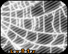SPiDER WEB #1