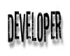 Developer