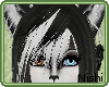 [Nish] Fallen Bangs