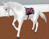 ~Dixie Saddle Horse