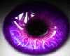 t| Purple Pink Shine eye