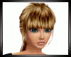 Venitian Blond Ponytail