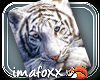 White Tiger Radio Stream