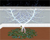 4u Aqulivus Life tree