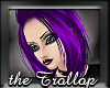!T! LA Diane PURPLE