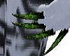Green & Black