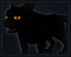 Scragg The Black Cat