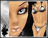*dl b.a.s.i.c GLOSS crml