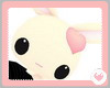 *[J] CuTE BUNNY >.<*