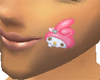 cute bunny