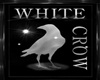 White Crow Room