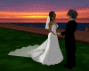Beautiful Veil