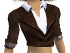 Brown Sexy Jacket