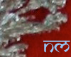 bridal dupatta 2.1