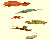 Falling leaves 2