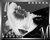 M�   Vesper