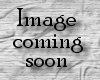 *EB Wild Winds Neon Sign