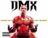 dmx(slippin)