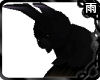Black Head Bunny