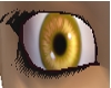 Yellow Eyes (F)
