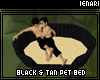 Black and Tan Pet bed