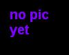*Mq Bald / No hair