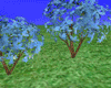 SoSweet Flower Tree