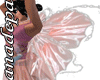 [A&P]Sweet fairy wing