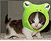 Cute costume!