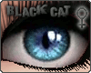 [BC] Blue Cat Eyes F!