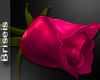 + rose 4u 12 +