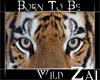 Born To Be Wild