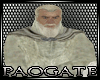 Gandalf -Avatar-