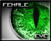 [SLW] Toxic Feline